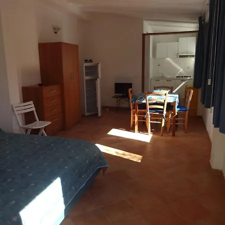 Olivo Marina di Campo