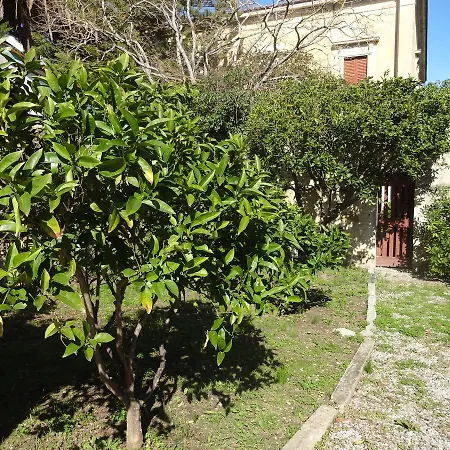 Hébergement de vacances Olivo Marina di Campo